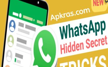 WhatsApp Hidden Secret Tricks