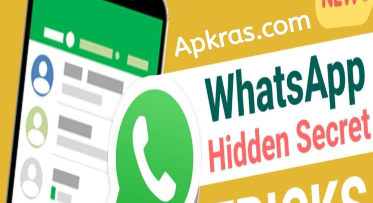 WhatsApp Hidden Secret Tricks